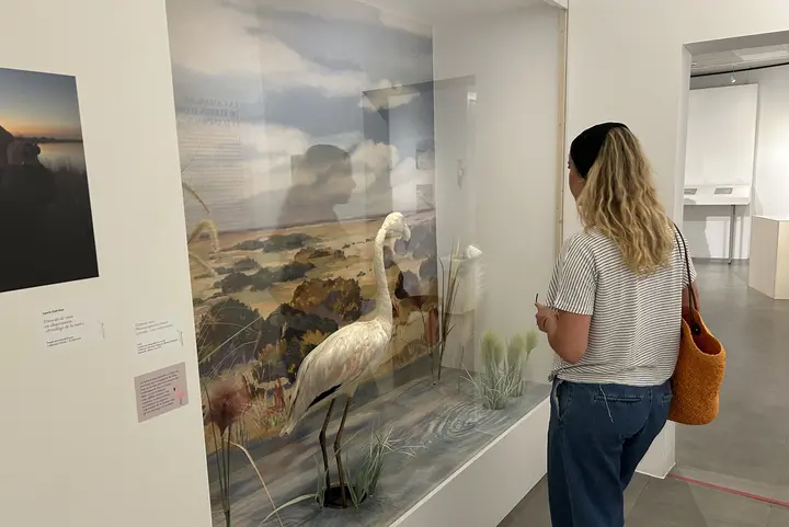 En vidéo : l'expo Eau se dévoile au musée des Cultures taurines à Nîmes