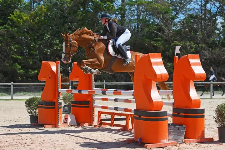 Saut d’obstacles à l’Ecuries des Costières à Nîmes