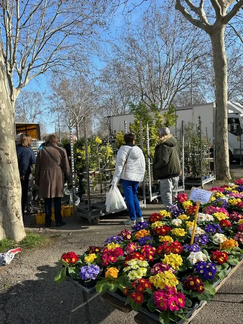 Agrandir l'image 1
