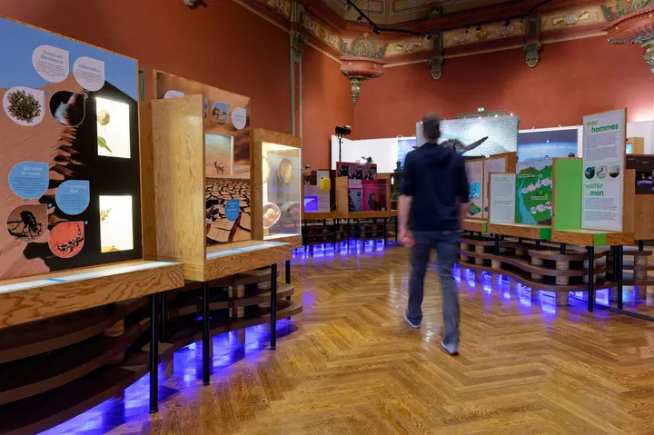 En 2026, l'Eau s'invite dans tous les musées de la ville de Nîmes